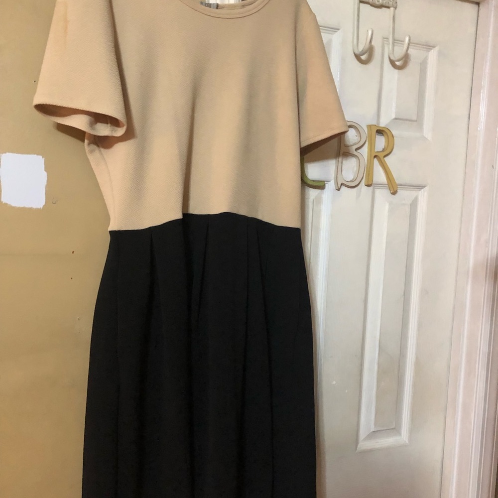Amelia lularoe